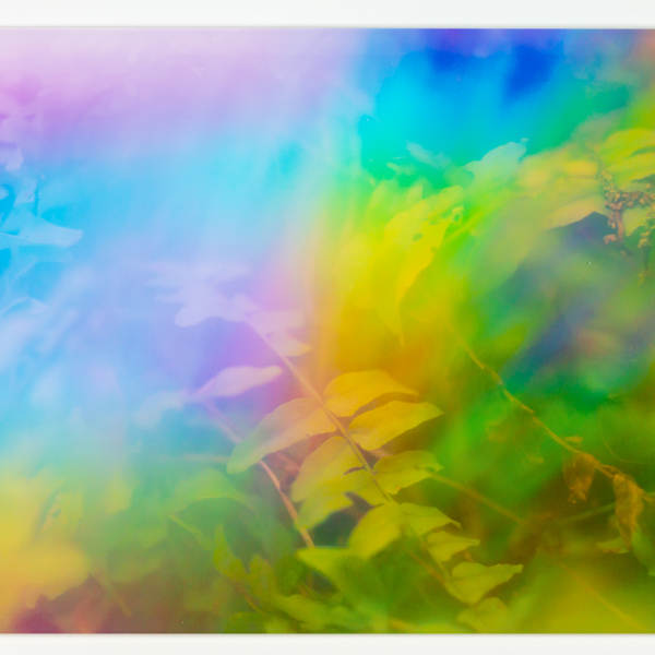 Joyful by Erica Angelica, Image 1.