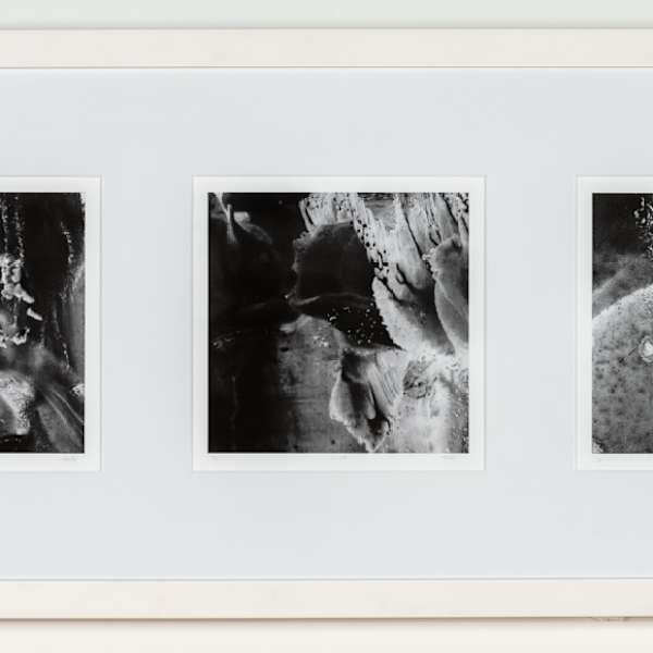 Artifacts: AF-226, AF-208, & AF-232 by Seana Reilly, Image 1.