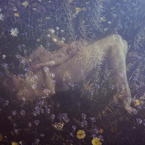 Untitled Patrick Fraser by Patrick  Fraser, Image 1.