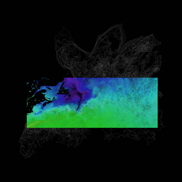 Argo Tracks and Sea Surface Temperature – North Atlantic Ocean by W. Benjamin Bray, Image 1.
