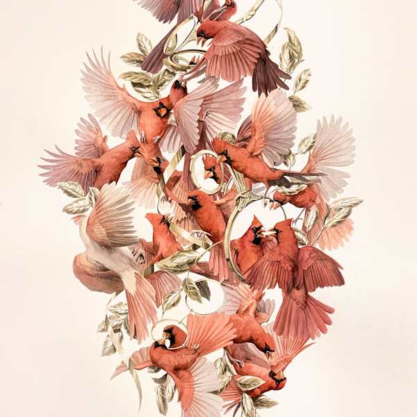 Cardinals by Jake Messing, Image 1.