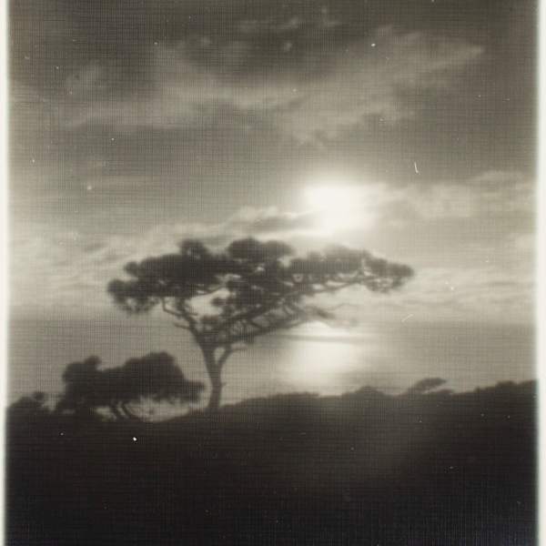 Untitled by Leopold Hugo, Image 1.
