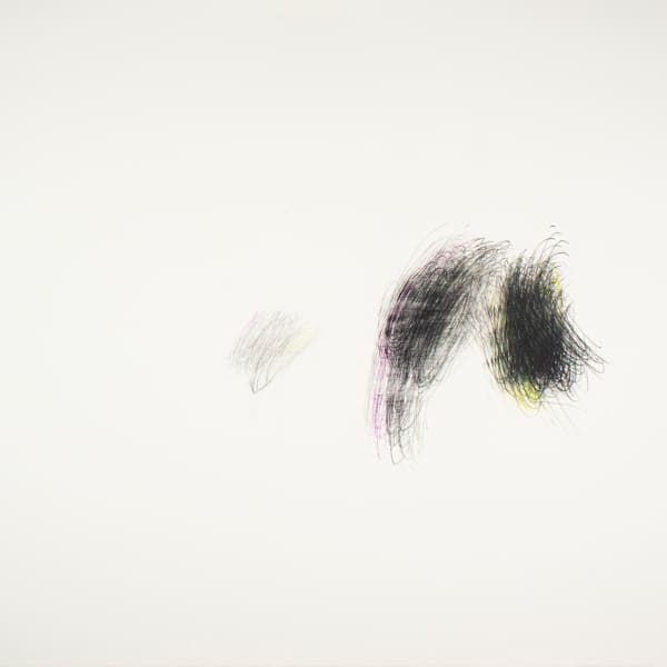 Mariandynae Flux Encounter by Alan Saret, Image 2.
