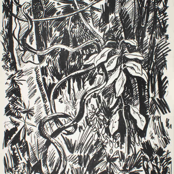 Jungle by Tobias Schneebaum, Image 1.