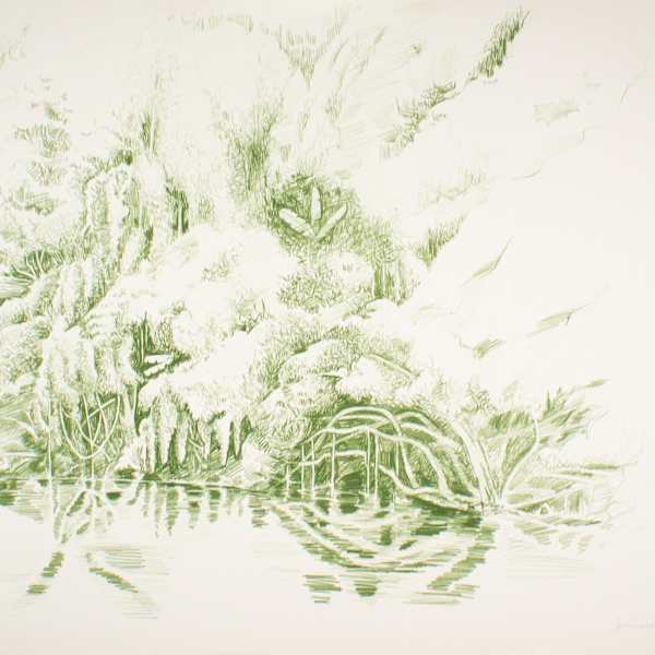 Green Jungle by Tobias Schneebaum, Image 1.