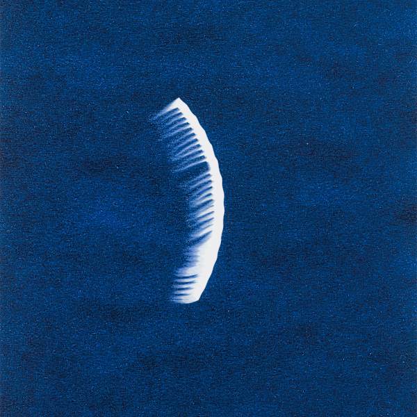 A-Bombed Comb, Hiroshima, from After Hiroshima by elin o'Hara slavick, Image 1.