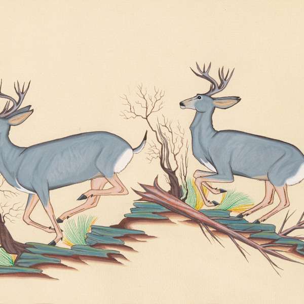 Deer by Ignatius Palmer, Image 1.