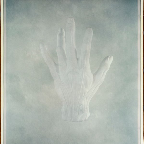 Untitled (from "Still Life") by Joyce Tenneson, Image 1.
