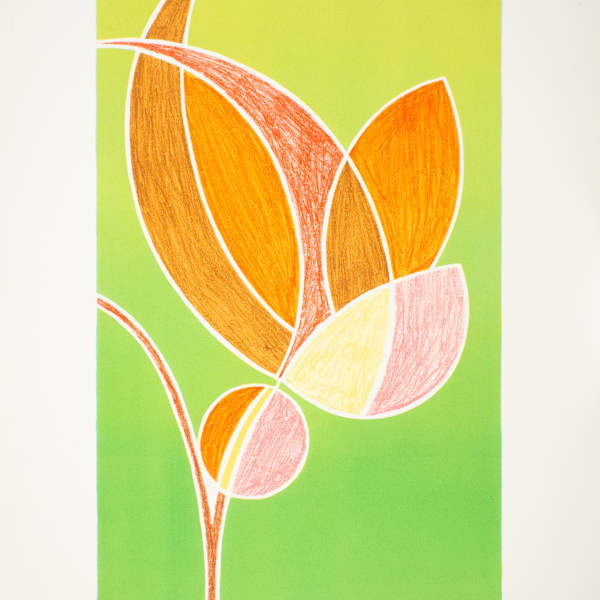 Fiore Noterno by Emilio Pucci, Image 1.