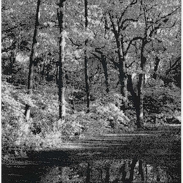 Manhattan by Ewan Gibbs, Image 1.