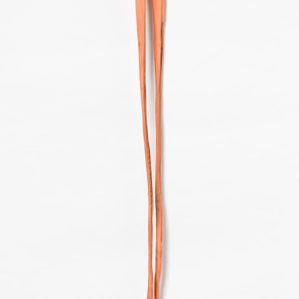 Pants by Annie Temmink, Image 1.