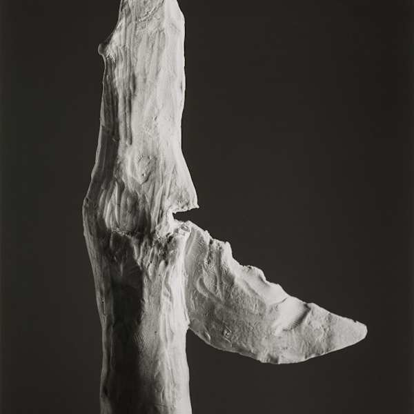 Knife by Erin Shirreff, Image 1.