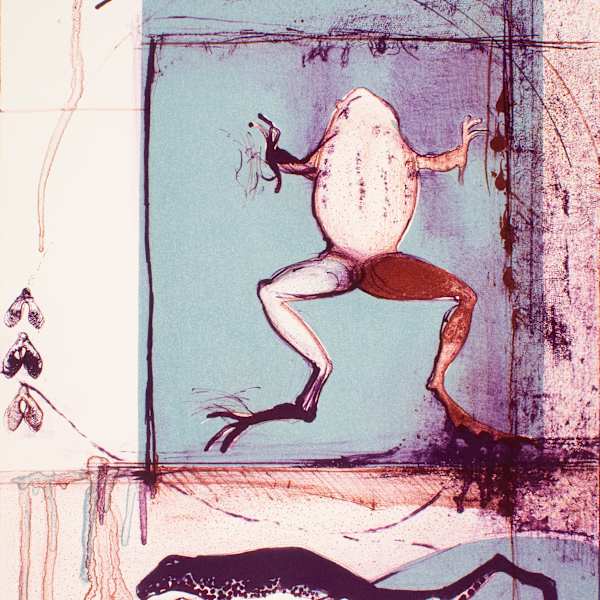 Frog Study by Gay Rogers, Image 1.