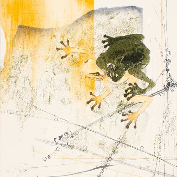 Mating Frogs by Gay Rogers, Image 1.
