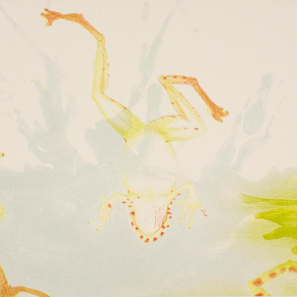 Splasher by Gay Rogers, Image 1.