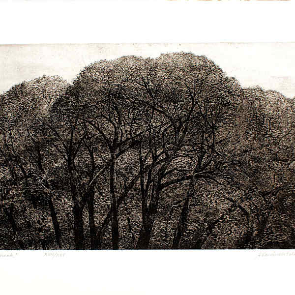 Daybreak by Adrian Van Suchtelen, Image 1.