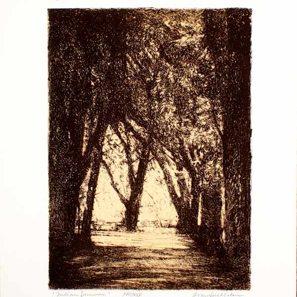 DrIndian Summer by Adrian Van Suchtelen, Image 1.