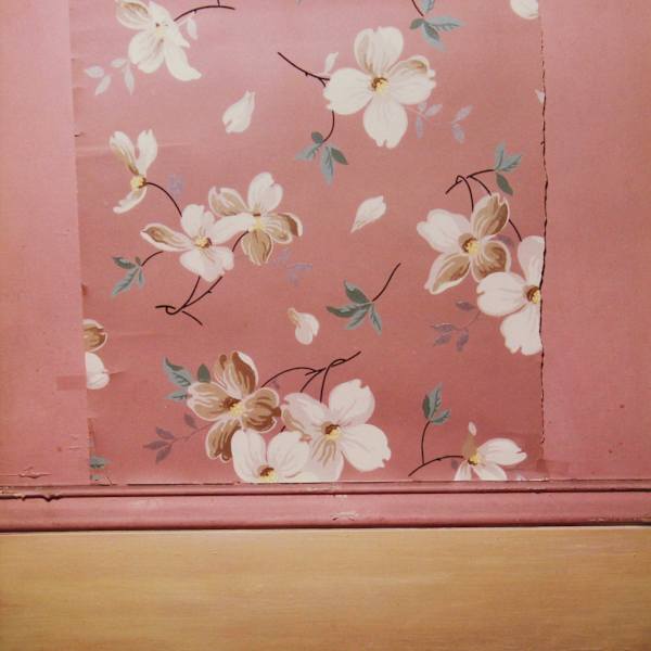 Untitled by Peter Kloehn, Image 1.