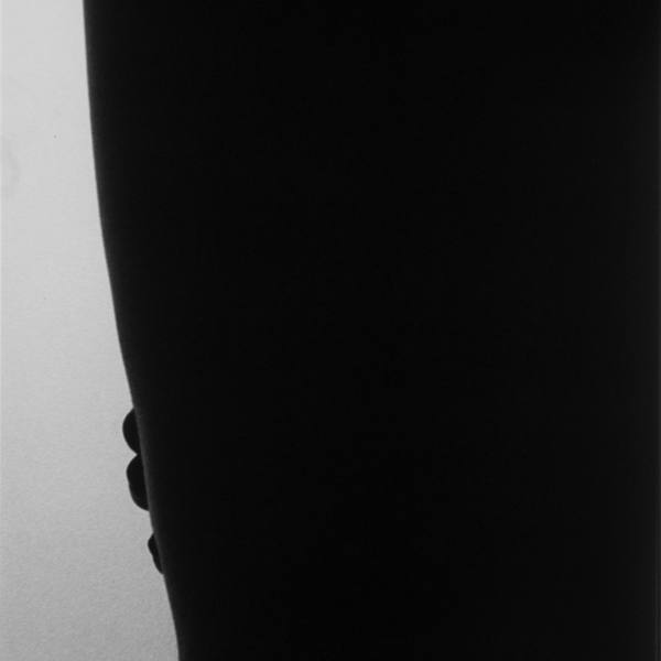 Torso by Steve Small, Image 1.