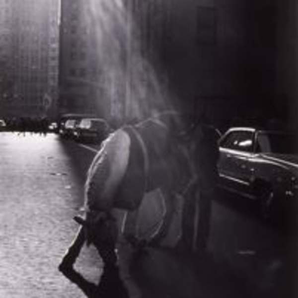 Horse and Cowboy, Rockefeller Center, N.Y.C. by Louis Stettner, Image 1.