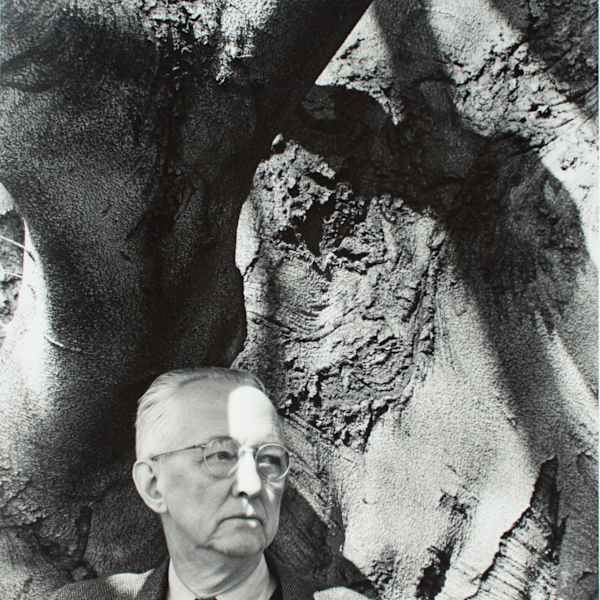 Charles Sheeler and His Favorite Beech Tree by Barbara Morgan, Image 1.