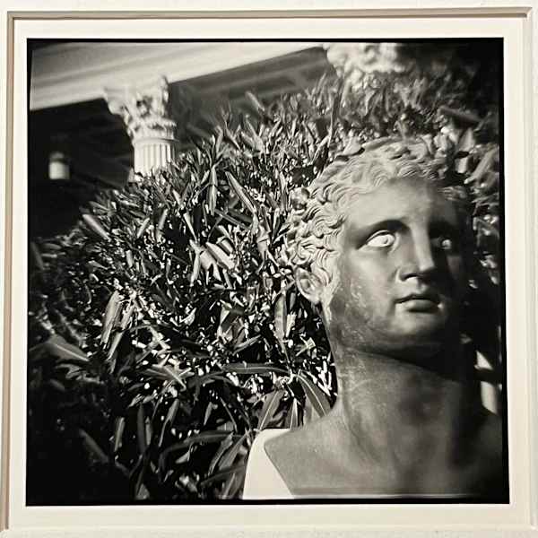 Untitled by Barbara Gilson, Image 2.