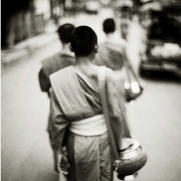 Monk, Luang Prabang, Laos by Andrew Ward, Image 1.