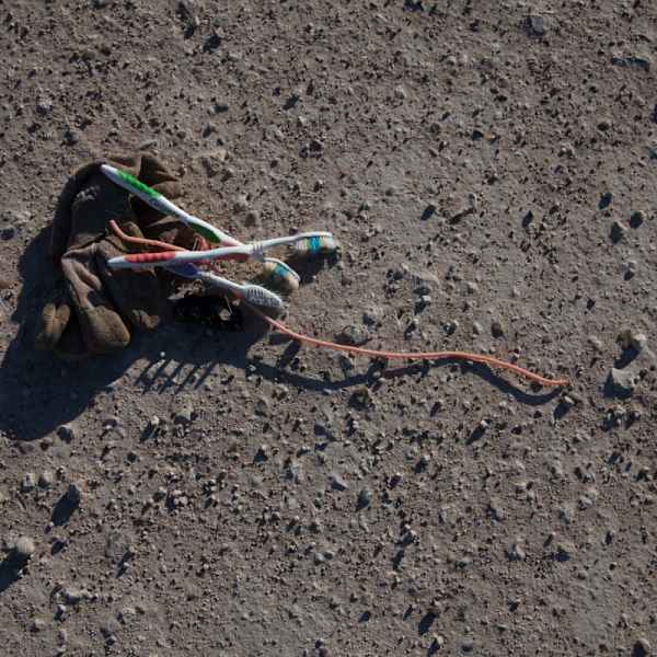 Three toothbrushes and glove (Tres cepillos dentales y un guante), from the portfolio Borders and... by Susan Harbage Page, Image 1.