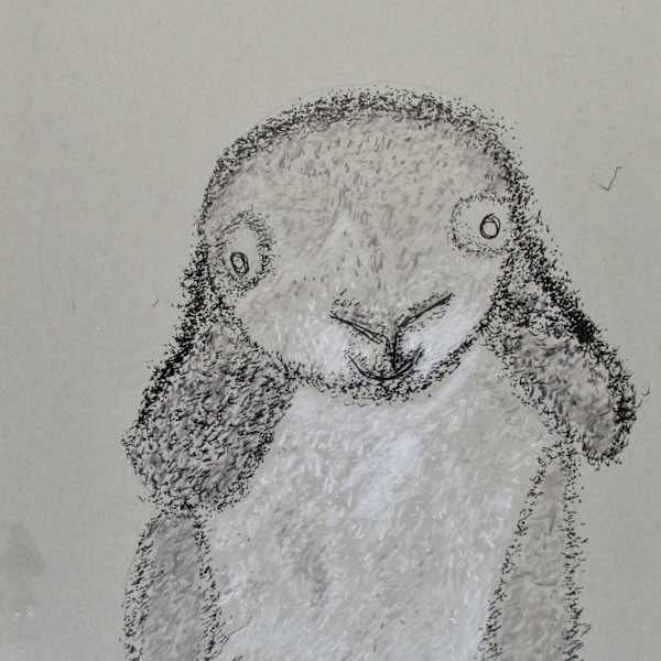28B. Scotty Drawing by David Coury, Image 1.