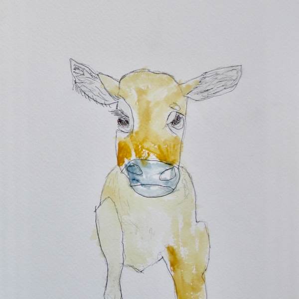 Bright Eyes by Emily Hoog, Image 1.