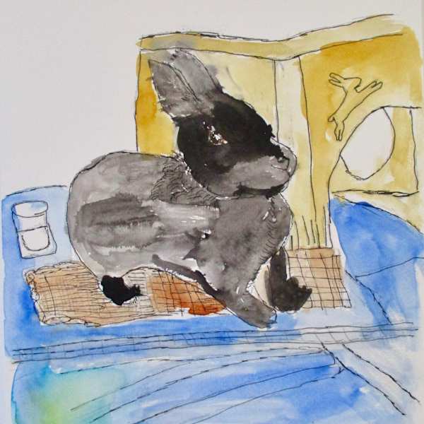 Jack Young by Emily Hoog, Image 1.