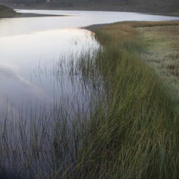 Rodeo Beach Lagoon by Dana Christensen, Image 13.