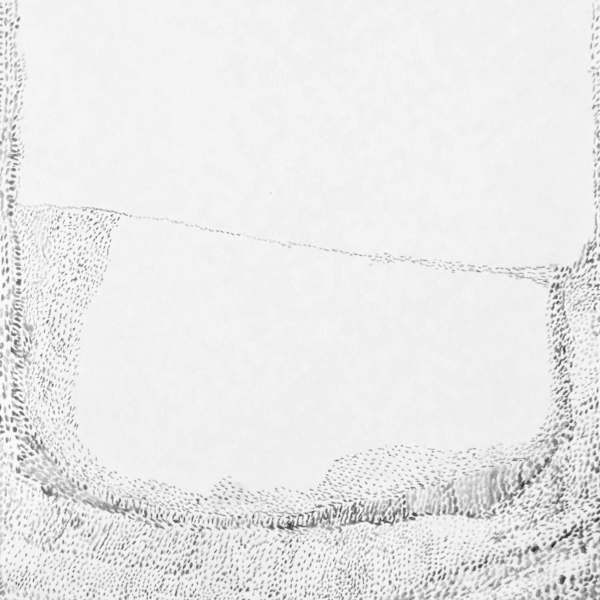 Tightrope by Ann Sylvester, Image 2.