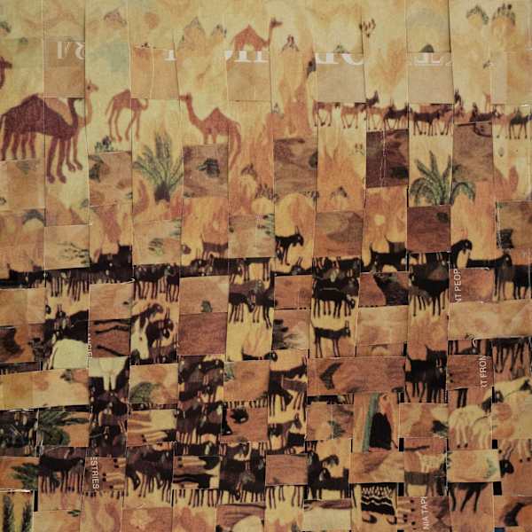 Camels by Lisa Gordon, Image 16.