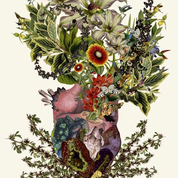 Indurare by Travis Bedel, Image 1.