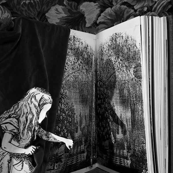 the Loveliest Garden You ever Saw by Abelardo Morell, Image 1.