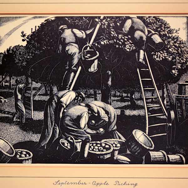 September - Apple Picking by Clare Leighton, Image 1.