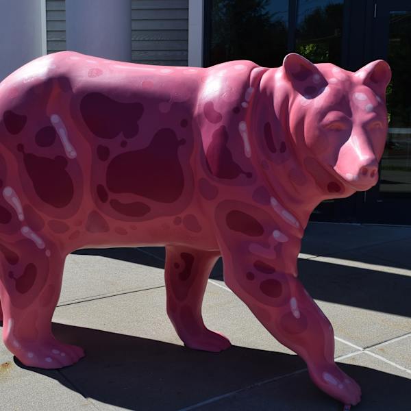 Gummy Bear by Forrest Bailey, Image 2.