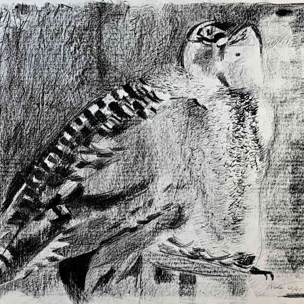 Owl by Janice Biala, Image 2.