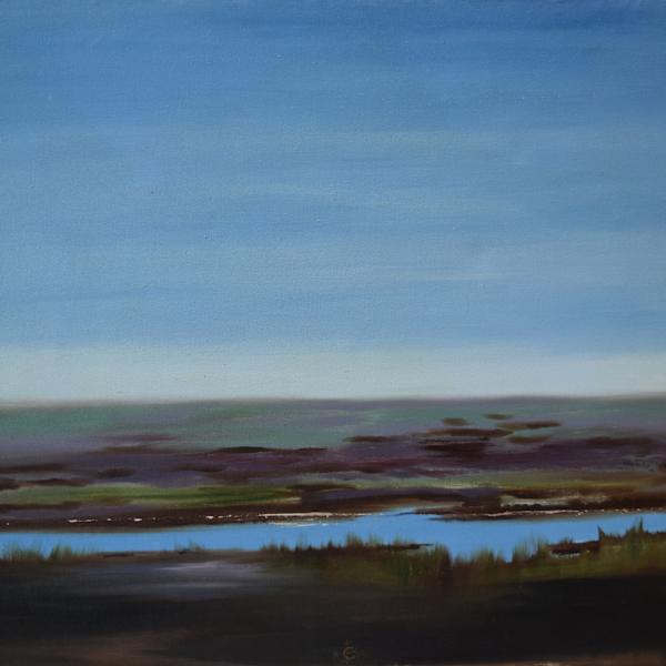 Untitled (Marsh) by Carmel Brennan, Image 2.
