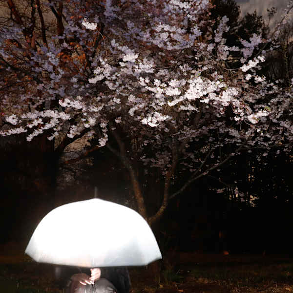 Light Rain by Alexa de la Pena, Image 1.