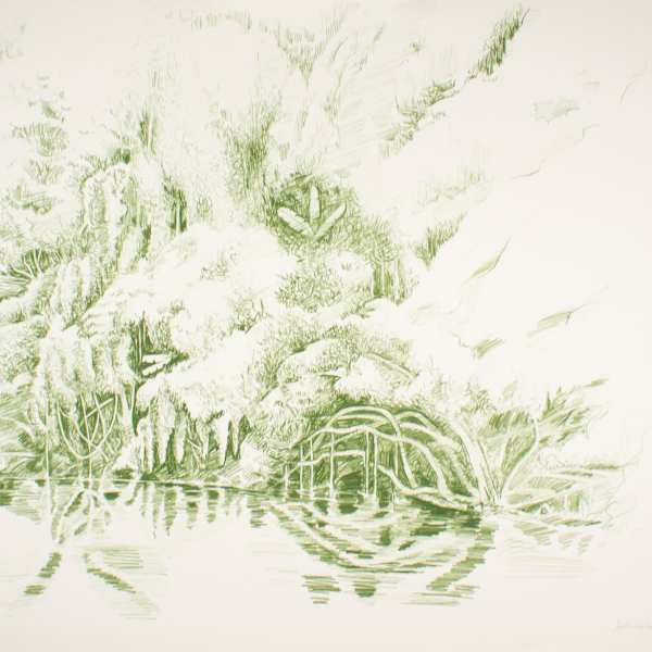 Green Jungle by Tobias Schneedbaum, Image 1.