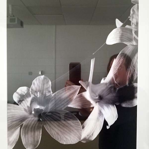 Orchid by Kurt Schleehof, Image 1.