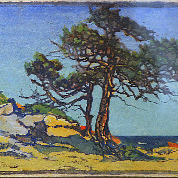 Coast Cedars by Margaret Patterson, Image 1.