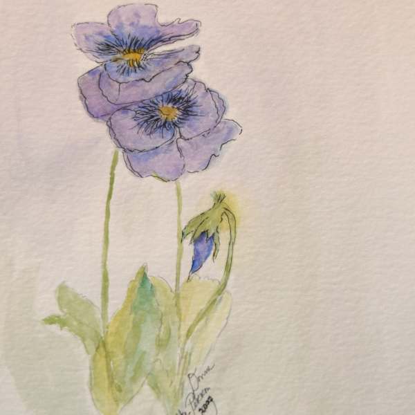Pansy by Donna Kindberg-Perron, Image 3.