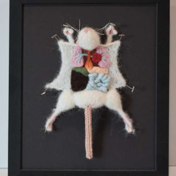 Lab Rat by Emily Stoneking, Image 1.