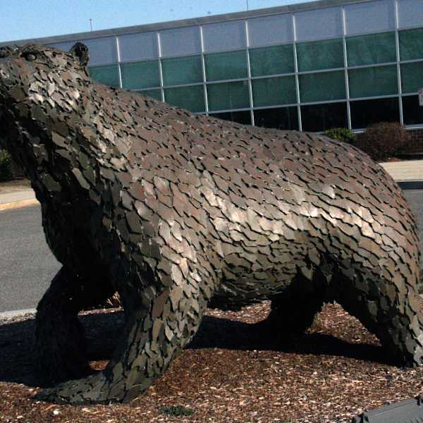 Bear by Chris Williams, Image 1.