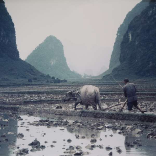 Yangshuo, Guauxi Provence by [Robert Ward], Image 1.