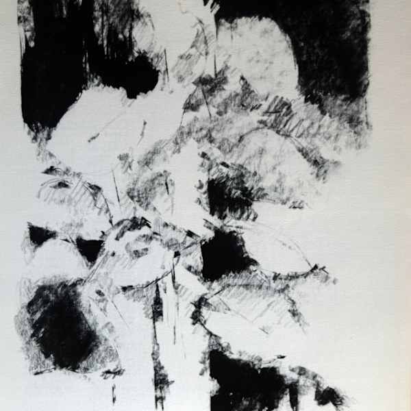 Dark Still Life by Joel Goldblatt, Image 1.