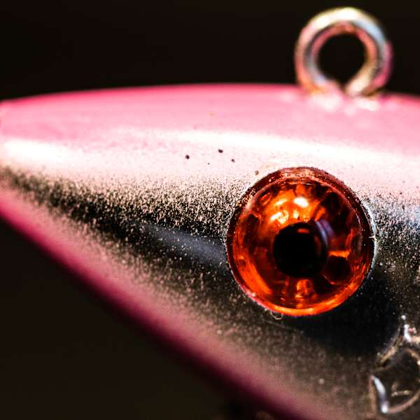 Macro Fishing II by Trevor DiTuillio, Image 1.